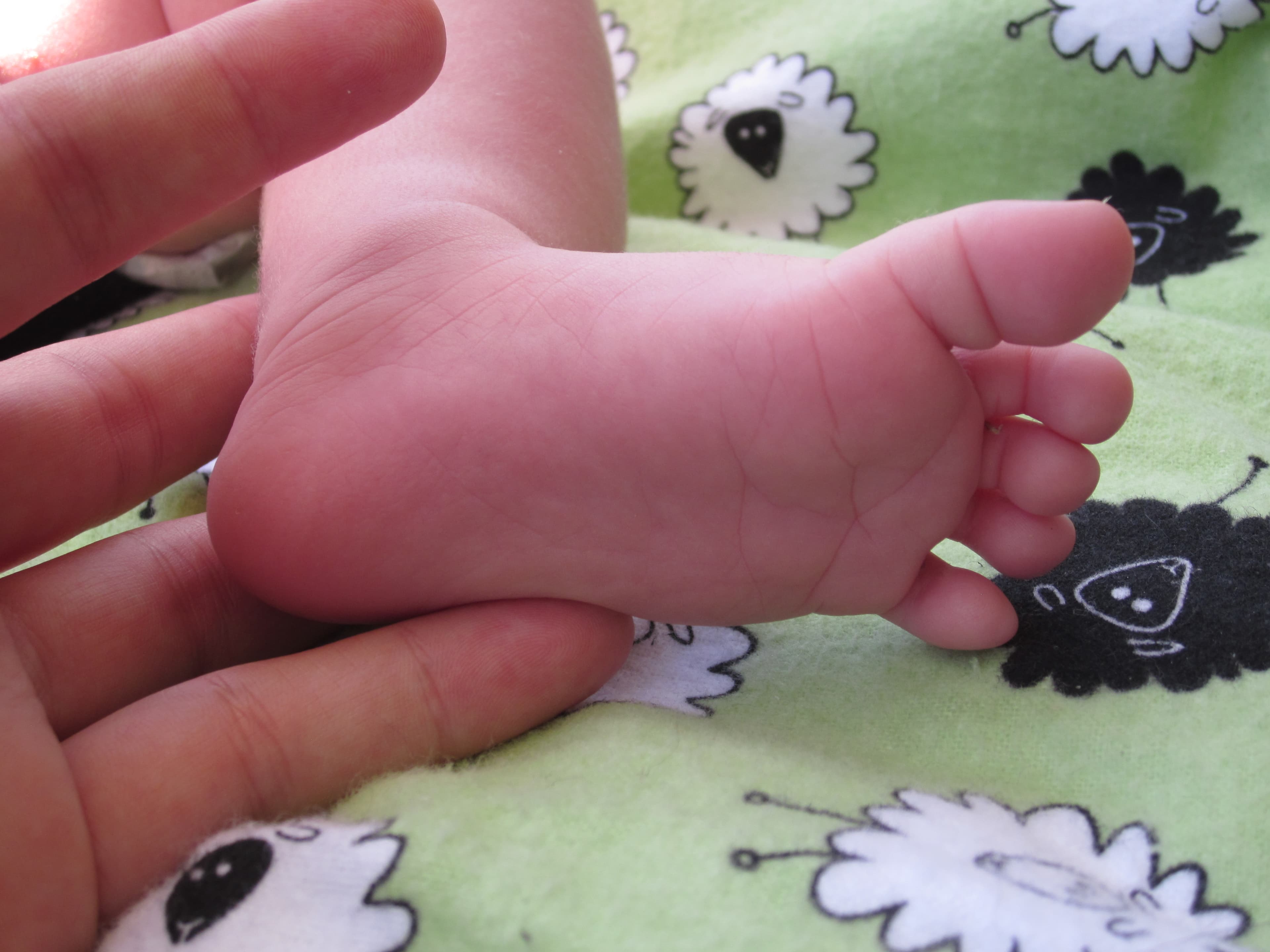 An adult's hand gently holding a small child's bare foot, resting on a soft blanket